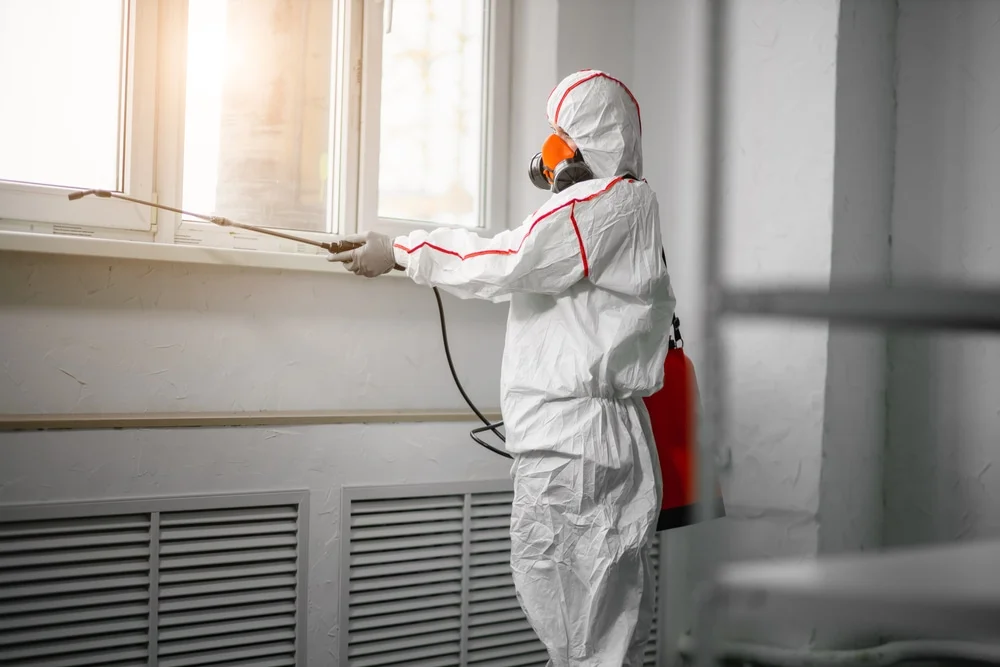 Professional mold remediation services in Water Mill, NY